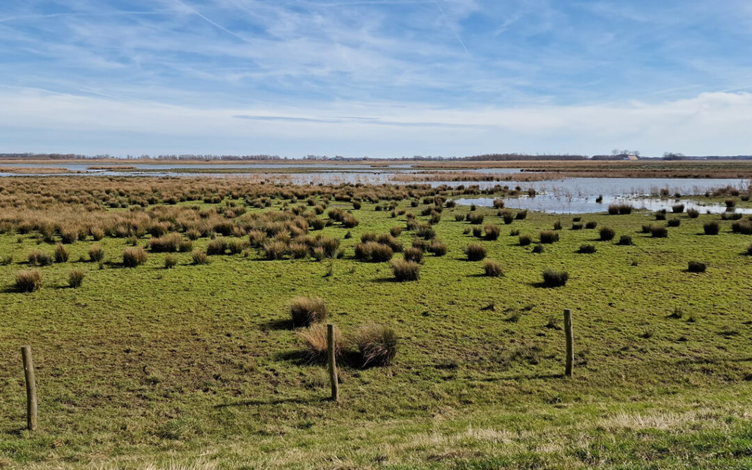 Rooien van oude CU-kabel in Zuid-Holland